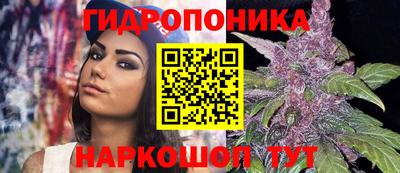 эйфоретик Жуковский