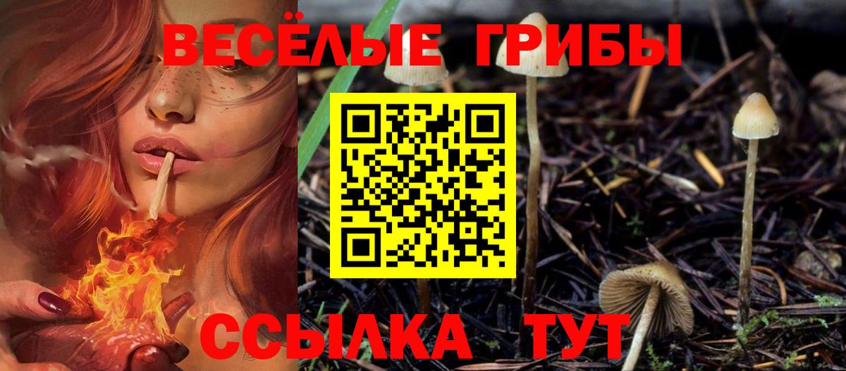 Галлюциногенные грибы GOLDEN TEACHER Геленджик